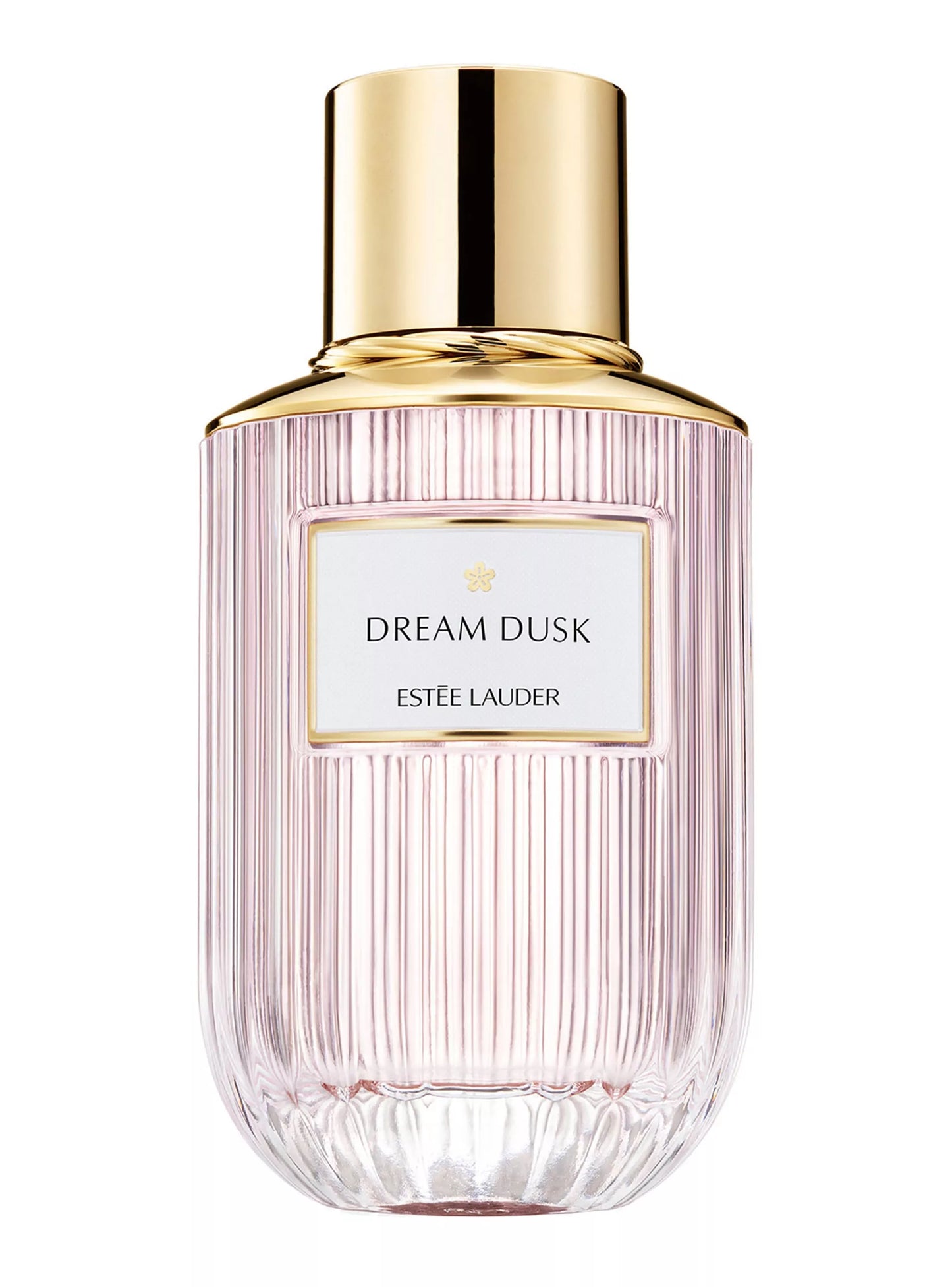 Perfume Estee Lauder Luxury FRANGANCE Dream Musk 100ml edp