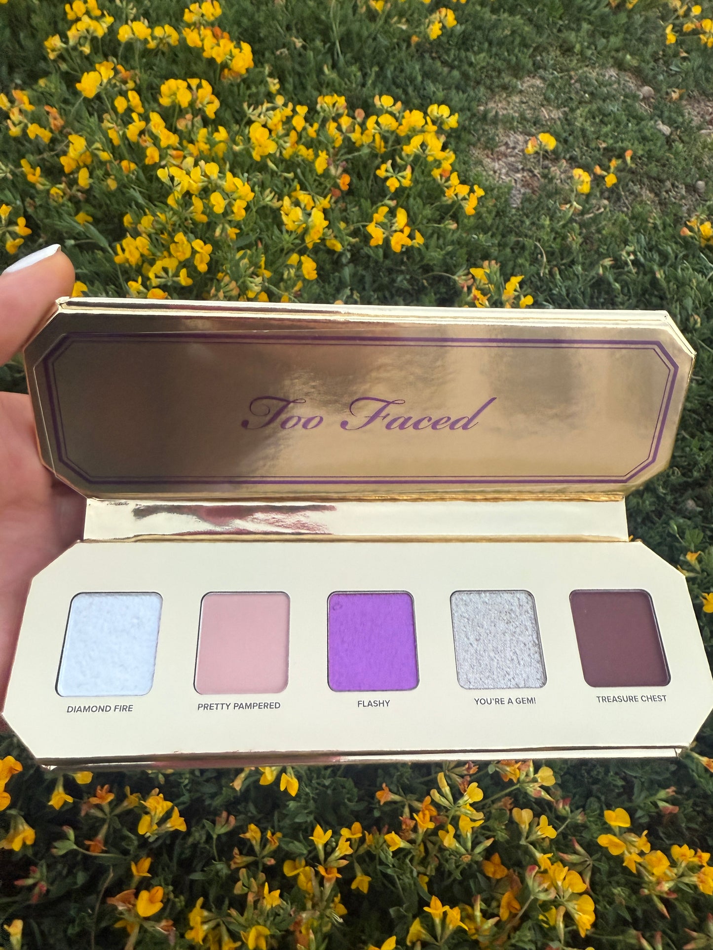 Paleta de sombras Too Faced